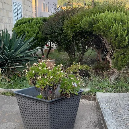 Oliva Apartment Cavtat