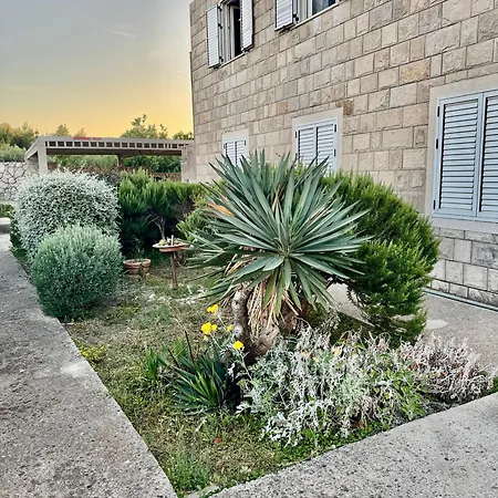 Appartement Oliva