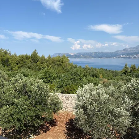 Oliva Cavtat