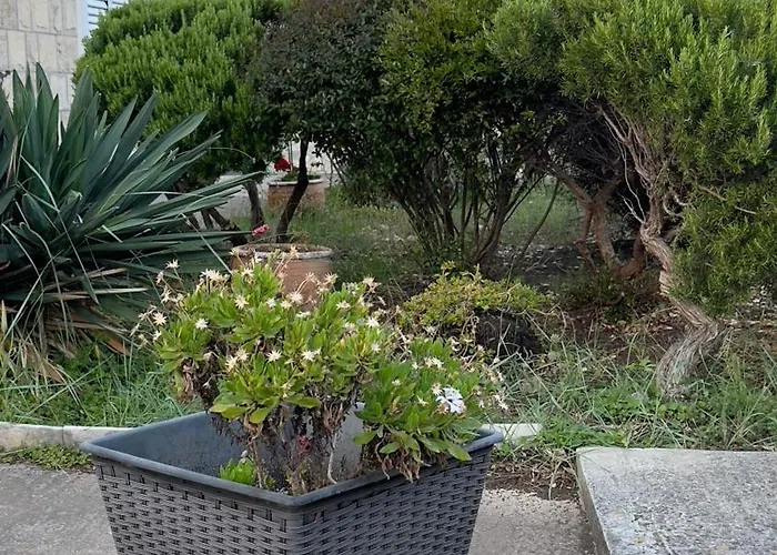 Oliva Apartament Cavtat